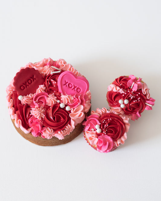 Valentine Bento Cake & Cupcakes
